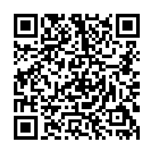 显示屏上的那个外星人工智能也随着声音一起消失了二维码生成