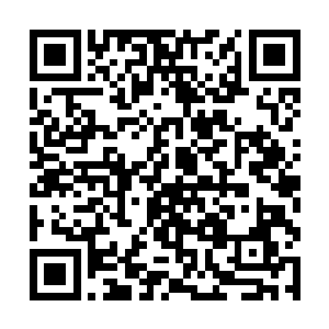 晋王殿下带着一大批人浩浩荡荡地朝我们府上过来了二维码生成