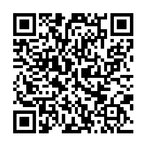 晋王殿下z王殿下带着一大批人浩浩荡荡地朝我们府上过来了二维码生成