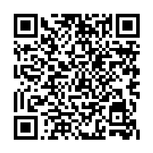 晋级古神所需要的混沌之石数量已经积累足够了二维码生成