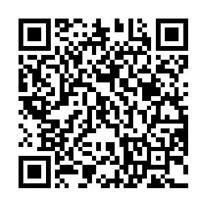 晋级后的蜂卫们的毒针其麻醉效果比之前强了不知几倍二维码生成