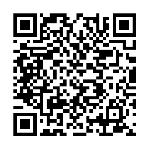 晋鹏界主却以为我是被微型宇宙塔的气息给吓着了二维码生成
