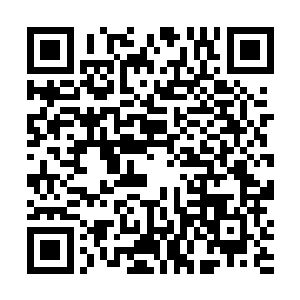 晏安之一直在玉堂馆里等晏锦回来……未曾想过要用膳二维码生成