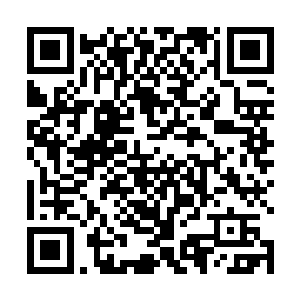 晏老太爷虽然对虞家找上了沈家这个苍天大树嗤之以鼻二维码生成