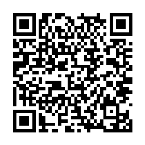 晏西捧着一盘子切割好的无籽西瓜给妹妹献了上去二维码生成