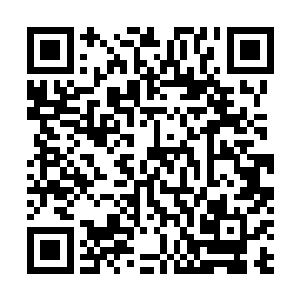 晏锦从未在冬日里看过牡丹花盛开……又何况是如此众多二维码生成