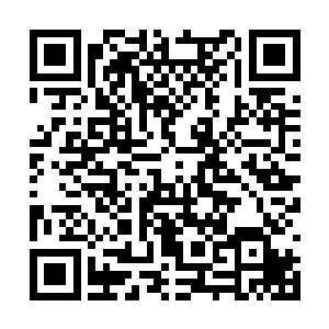 晏锦似乎也明白了为何沈苍苍前世会有那样的结果二维码生成