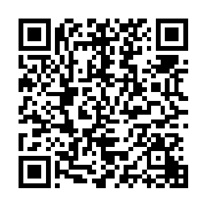 晏锦的桌上没再出现过鱼……或许今儿夜里晏锦又想要用了二维码生成