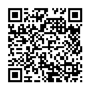 晚上宁毅与苏檀儿随着苏伯庸去一苏府世交家中赴宴二维码生成