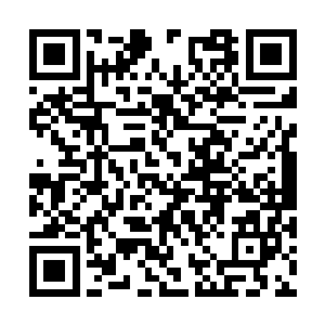 晚上我一会儿下去亲自帮你做你最爱吃的意大利面二维码生成