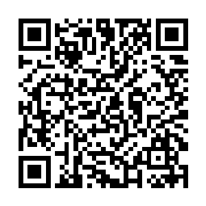 晚上的时候丁长生又悄悄来到了省城的一个高档小区二维码生成