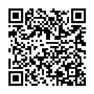 晚上的时候取出符宝袋中的族中至宝骷髅头骨链子二维码生成