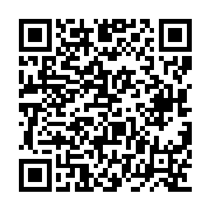 晚上的时候小孩子会拿晒干的蒲棒点燃了熏蚊子二维码生成