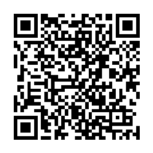 晚上睡觉说不定你嫂子就会拿个小剪刀把我的老二给咔擦了二维码生成