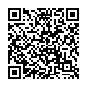 晚上这李敏进估计也来不了演唱会当嘉宾了……二维码生成