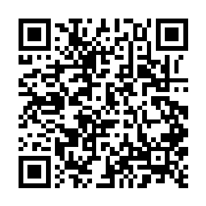 晚辈不知是前辈大驾光临来到我们平天神国的皇城中二维码生成