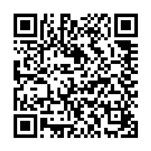 晚辈也没有想到神隐密地中竟然会有如此多的天材地宝二维码生成