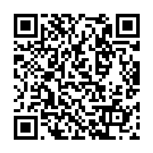 晚辈们则是兴高采烈的说着自己被哪些宗门招揽了二维码生成