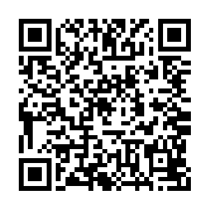 晚辈真心实意想在力所能及的范围为前辈们效劳二维码生成