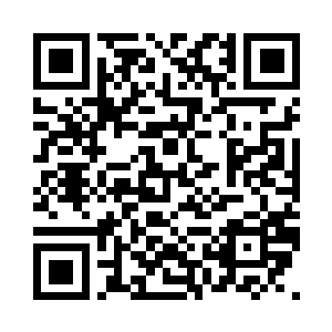 晨光给苏林开了一个隆重的欢迎盛宴二维码生成