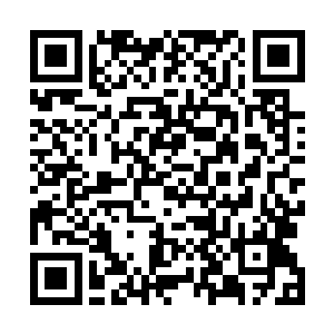 普云大师将早先收留无忘的经过与皇帝又简略地说了一遍二维码生成