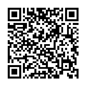 普林斯特在经过它时还特意停了下来以便让穆根就近观摩二维码生成