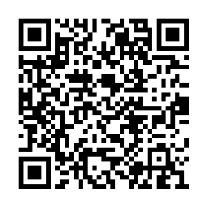 普桑顿时好像没头的苍蝇一样在马路上东摇西摆二维码生成