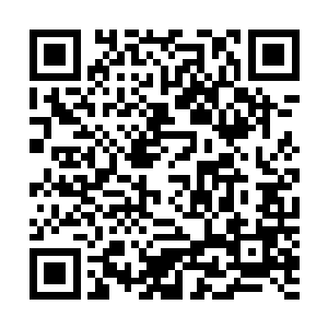 普通冒险者甚至无法与他们见面――除非他们愿意主动找你二维码生成