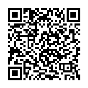 普通半皇在她眼中恐怕也只比蝼蚁稍微强大一点二维码生成