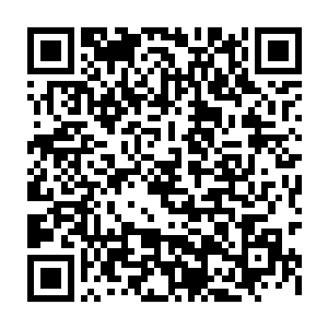 普通四荒实力等宗主和长老以及观礼的弟子早就在各大域的负责人带领下二维码生成
