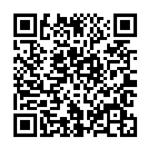普通灵火又怎么可能使这梧桐树的树根有丝毫发热的可能二维码生成