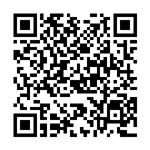 普通的魔物已经满足不了他身上要素汲取系统的需要了二维码生成
