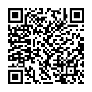 普通职业的攻击根本无法对太古红龙造成任何伤害二维码生成