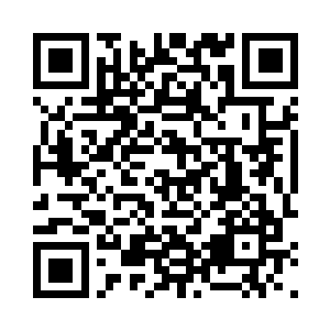 景初带着蛋圆圆潜到水底一个略微隐蔽的地方二维码生成