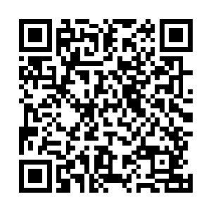 景初查他的四年的流浪脚印也只是为了看他值不值得信赖二维码生成