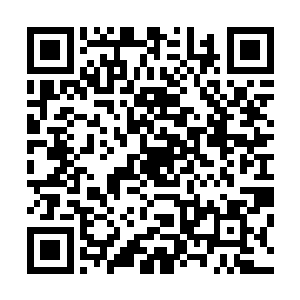 景横波一边倒飞一边还伸手召唤了一树的刺毛球砸在他裤裆二维码生成