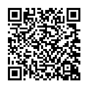 景横波当初在箱子内层夹缝里掏出这一包榨菜时简直热泪盈眶二维码生成