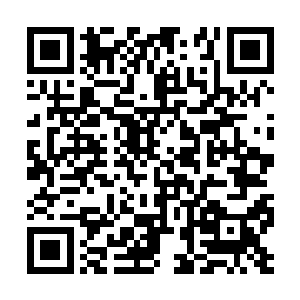 晶姐那个大学的学长刘凌枫没有能够拿到一点名次二维码生成