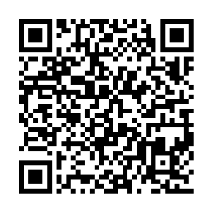 晶眼在半秒内就把这头飞蜥的特征全部扫描清楚二维码生成