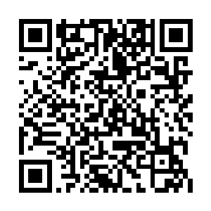 晶紫雅转录的星蟒录中的初级修炼功法相当简单二维码生成