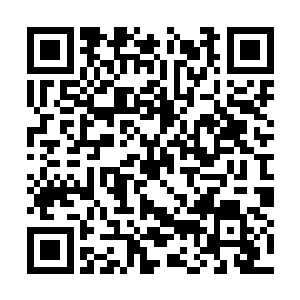 智为微博就将几家博客网站扫进了被人遗忘的角落二维码生成
