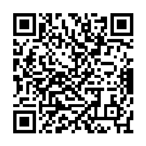 智商永远停留在三到五岁这不过是一个概率问题二维码生成