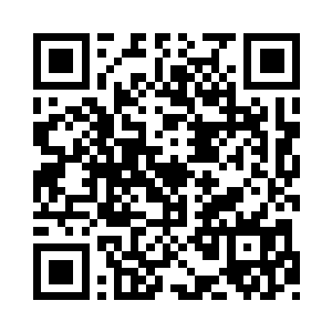 智慧之神拉萨达玛索亚琳集万千宠爱与一身二维码生成