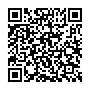 暂时与天魔圣教第九军团形成了一副僵持的局面二维码生成