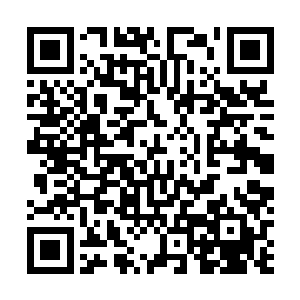 暂时性忘记了他心里暗暗发过到天元之前不和她说话的誓二维码生成