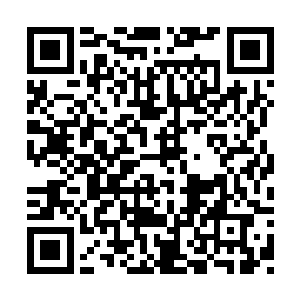 暂时没空搭理这些乱七八糟的家伙……虽是新兵二维码生成