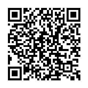 暂时还是交给了领主卫队的首领――安德烈管理二维码生成