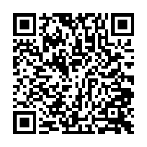 暂时还没查到寇胜利利用职务之便给寇俊祥牟利的证据二维码生成