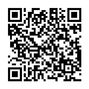 暂时逃过浩劫的小松鼠在万分悲痛的情况下居然升级了二维码生成