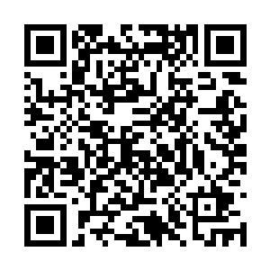 暖玉他们在看到两个孩子刚刚看向自己母亲的动作二维码生成